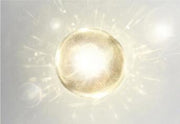 Ginseng Pearl Cream Fairy Lady Cream Concealer
